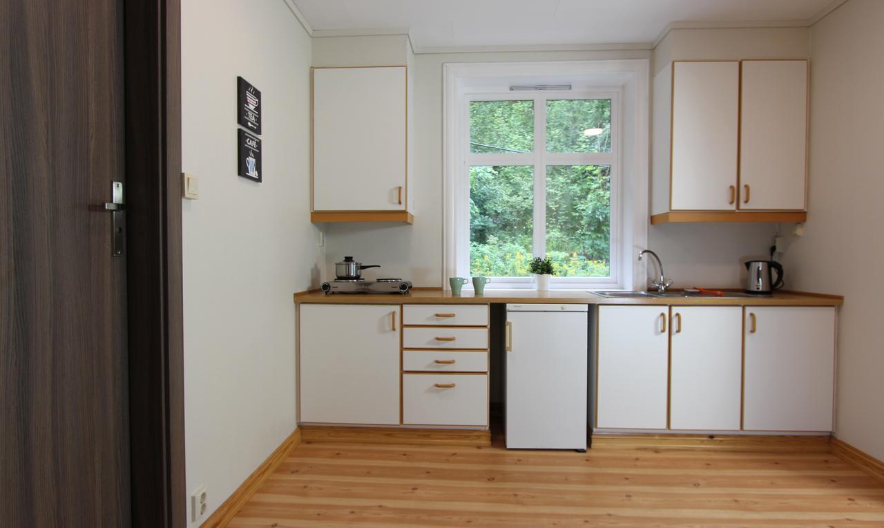 Slottet Apartments Tyssedal Dış mekan fotoğraf